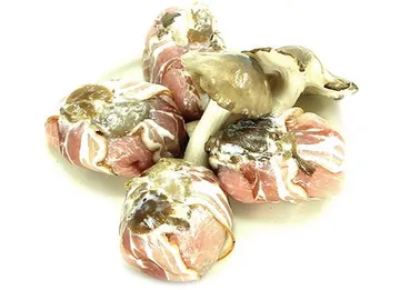Minifarcit de bolets
